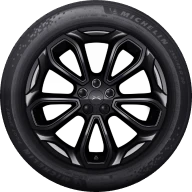 20 pulgadas Black Edition