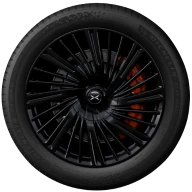 21 pulgadas Black Edition 